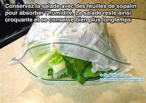 comment garder la salade au frigo